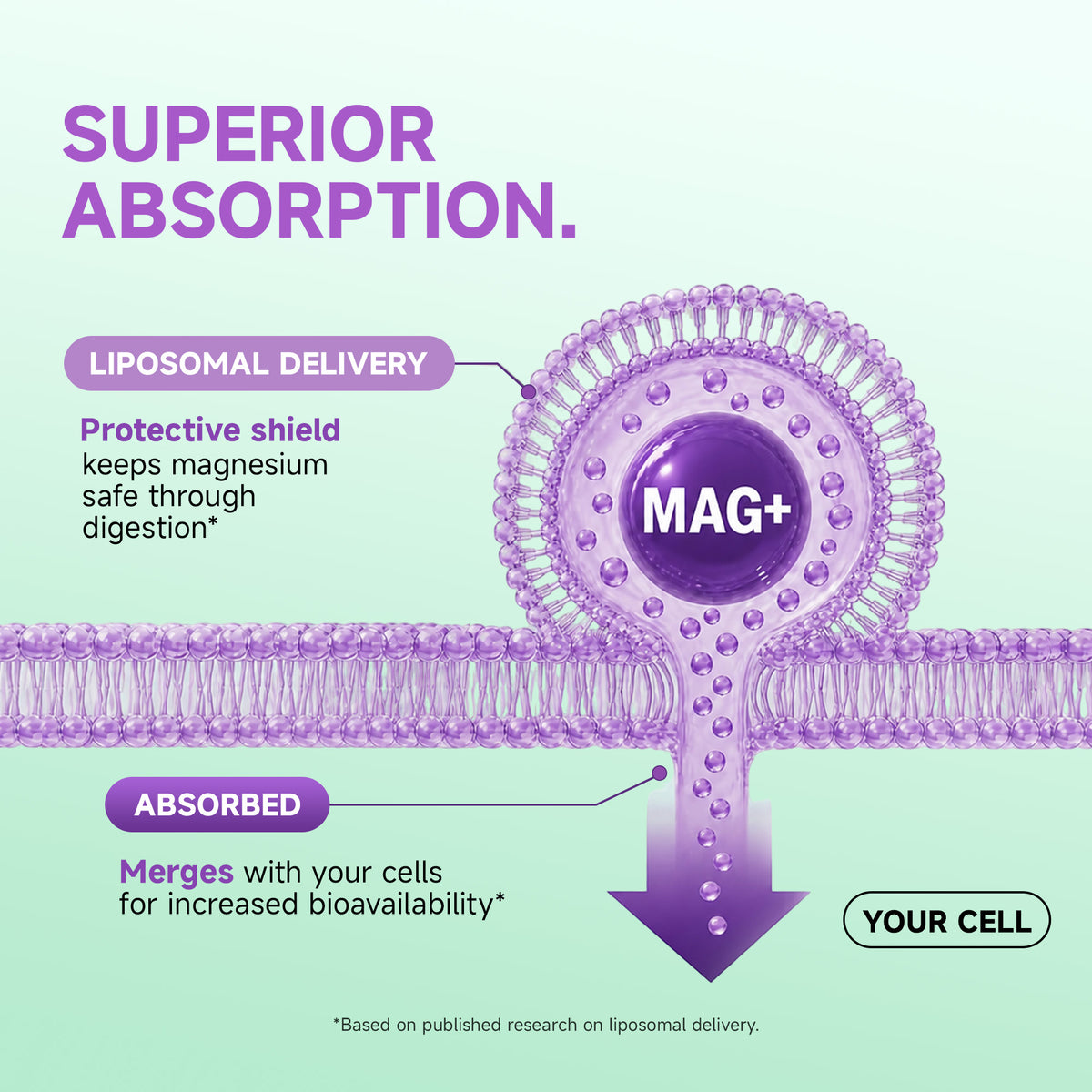 LAIFE Liposomal Magnesium Complex